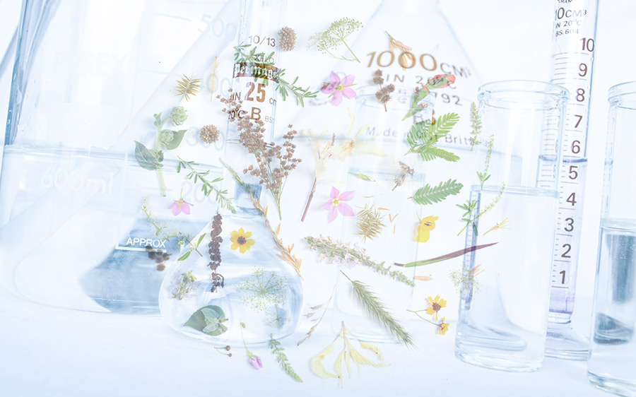 post herbs and laboratory 900x